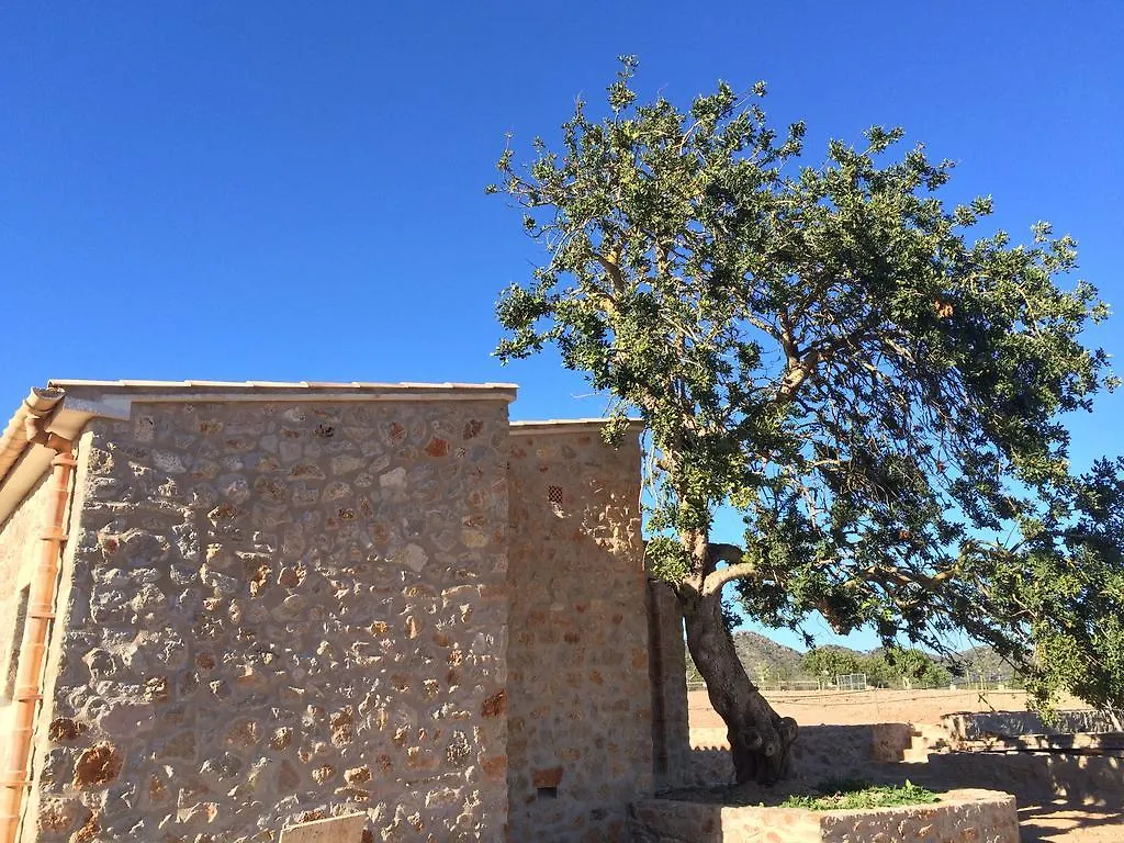 Gasthaus Ca Na Nina Sant Llorenç des Cardassar 0*, Sant Llorenc Des Cardassar